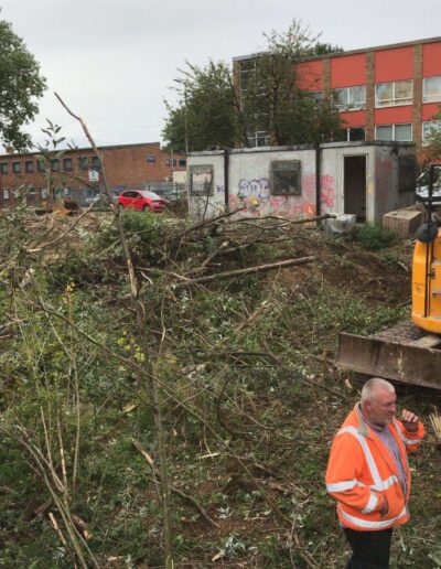 tree removals