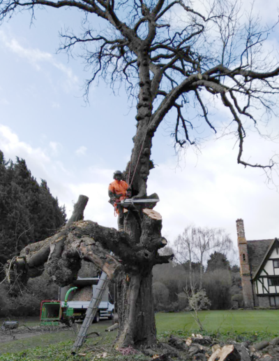tree surgeon in Berkshire