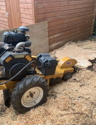 tree waste removals