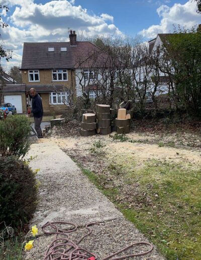 tree services
