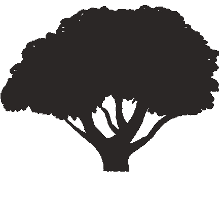 Top of the tree Tree Specialists Hertfordshire & Bedfordshire