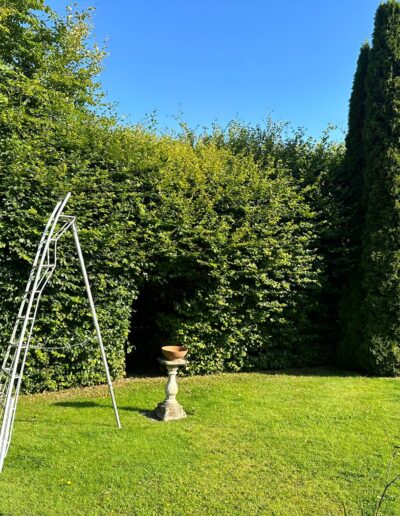 tree work and garden work